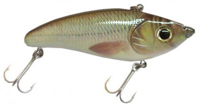 Screamin`Devil color Natural Rudd